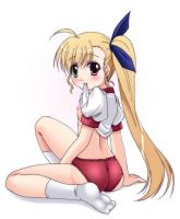 mahou_shoujo_lyrical_nanoha_-_lanyok_00466.jpg